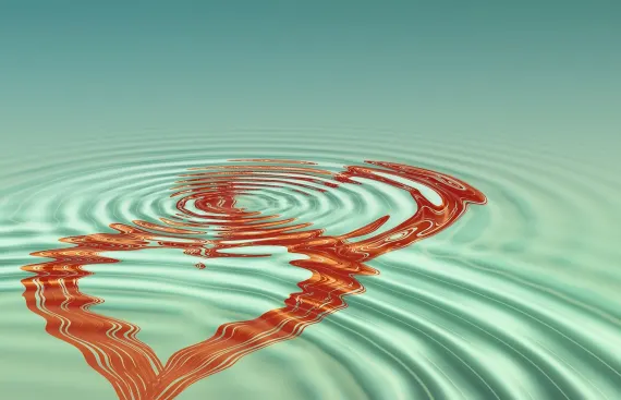 Vanguards Casino Support